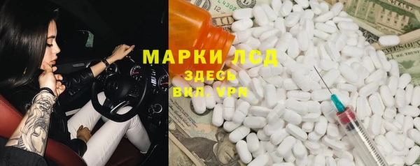амф Богданович