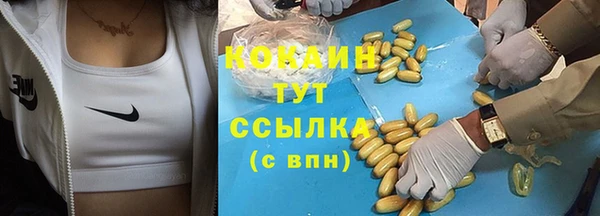 амф Богданович