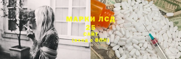 молекула духа Бородино