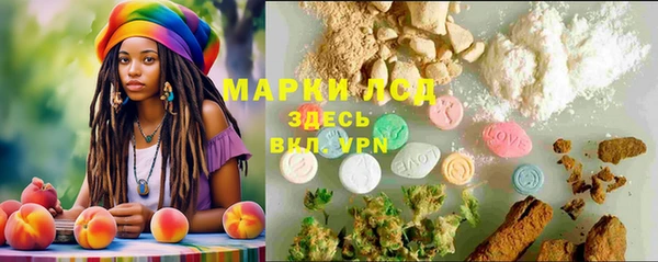 амф Богданович