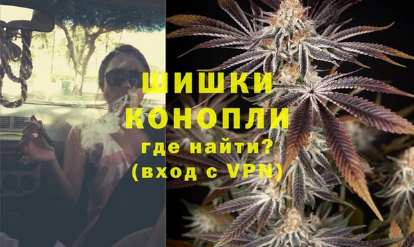 молекула духа Бронницы