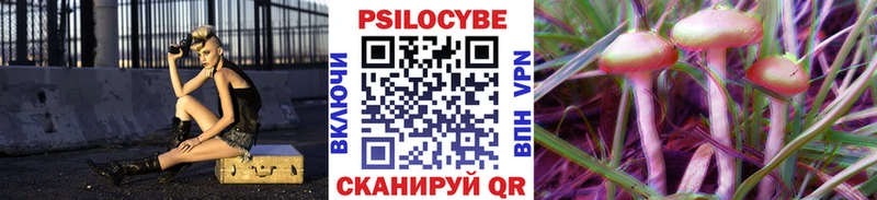 Псилоцибиновые грибы мицелий  Купить  Приволжск 