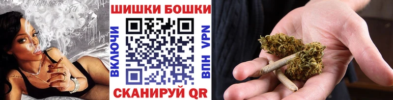 Купить  Приволжск  Бошки Шишки ГИДРОПОН 